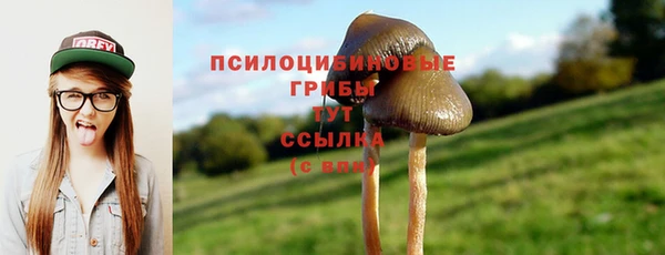 гидропоника Медвежьегорск